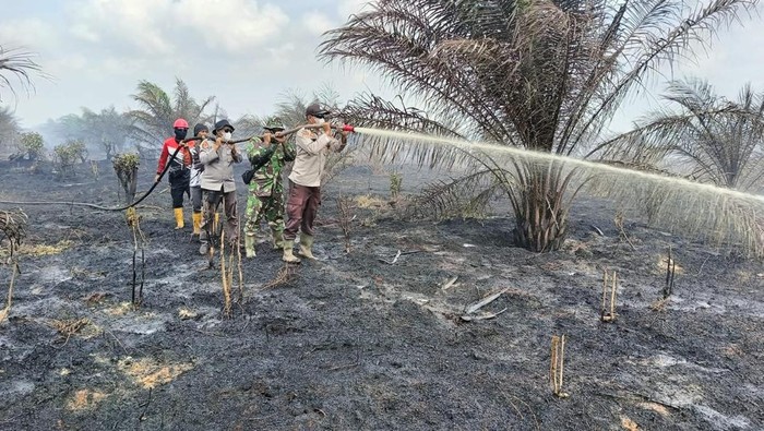 Lahan Gambut di Bengkalis Terbakar, Polisi-TNI Terus Berjibaku Padamkan Api